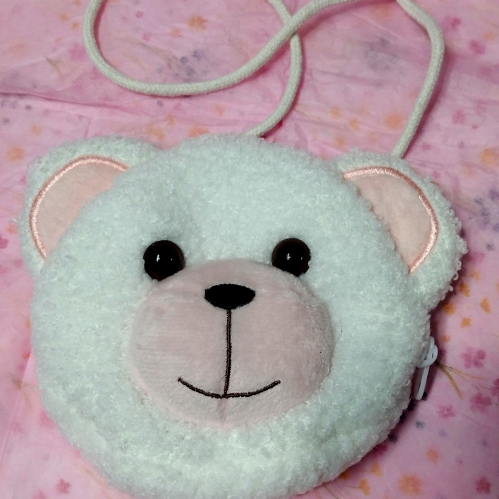 Teddy 🧸 purse